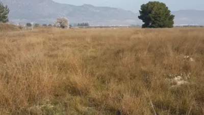 Rustic Finca on Salinas-Monovar Road photo 5