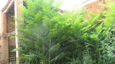 Casa en venta en Zona Centro, Terrer de 20.420 €