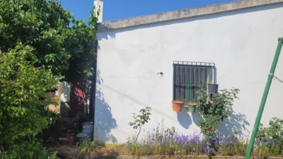 Chalet on Calle Diseminados, No. 30 photo 25