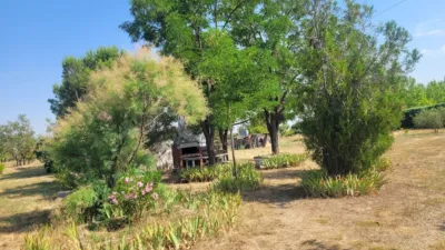 Chalet on Calle Diseminados, No. 30 photo 6