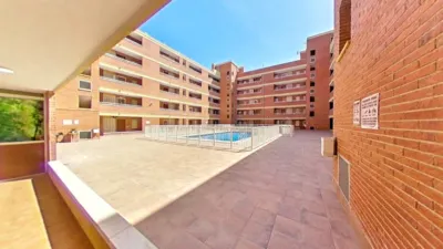 Pis - Vista 3