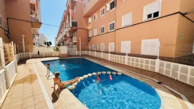Pis – Torrevieja - Vista 3