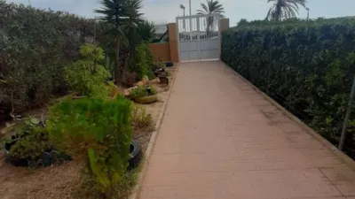 Piso – Torrevieja - Vista 3
