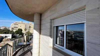 Apartment in Torrevieja photo 14
