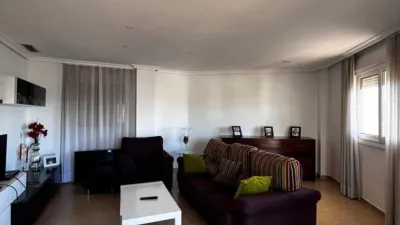 Apartment in Torrevieja photo 19