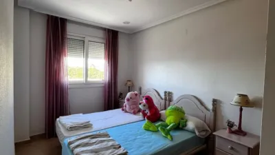 Apartment in Torrevieja photo 22