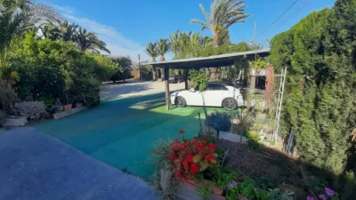 Rustic Finca in Desamparados-Hurchillo-Torremendo photo 17