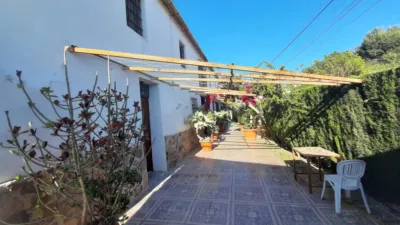 Rustic Finca in Desamparados-Hurchillo-Torremendo photo 23