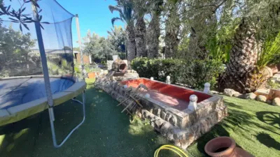 Rustic Finca in Desamparados-Hurchillo-Torremendo photo 7