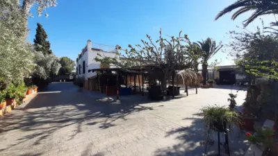 Rustic Finca in Desamparados-Hurchillo-Torremendo photo 8