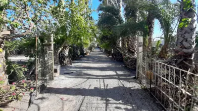 Rustic Finca in Desamparados-Hurchillo-Torremendo photo 9