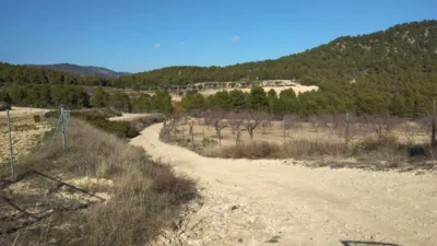Rustic Finca in Bullas photo 5