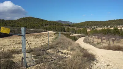 Rustic Finca in Bullas photo 8
