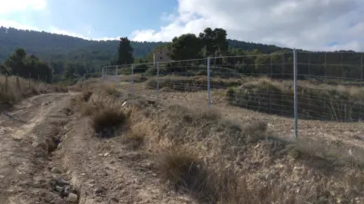 Rustic Finca in Bullas photo 6