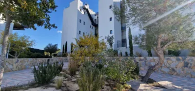 Pis – Orihuela, Villa Martín - Vista 2