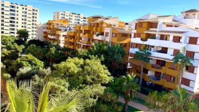 Pis – Torrevieja - Vista 5