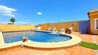 Casa – Torrevieja - Vista 5