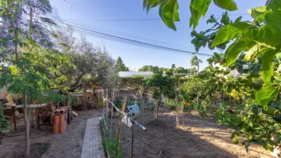 Casa – Torrevieja - Vista 5
