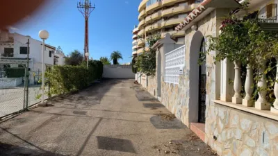Duplex in La Zenia photo 7