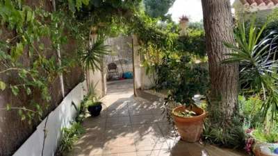 Duplex in La Zenia photo 9