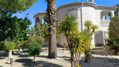 Casa – Torrevieja - Vista 3