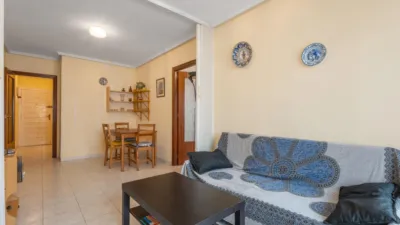 Pis – Torrevieja, Europa - Vista 3
