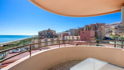 Pis – Elx - Elche - Vista 2