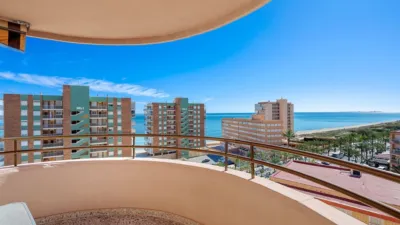 Pis – Elx - Elche - Vista 3