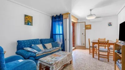 Pis – Elx - Elche - Vista 4