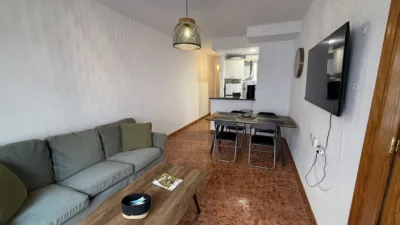 Pis – Torrevieja, Europa - Més