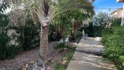 Chalet in La Zenia photo 10
