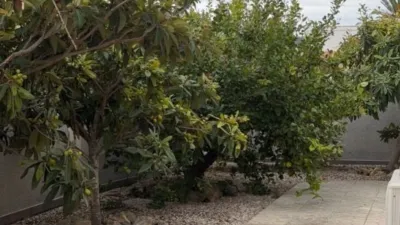 Chalet in La Zenia photo 16
