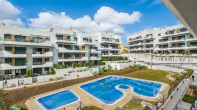 Pis – Orihuela, Molins - Vista 2