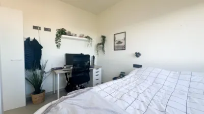 Apartment in Los Balcones photo 21