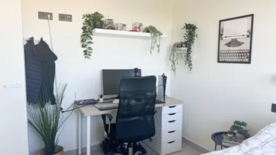 Apartment in Los Balcones photo 23