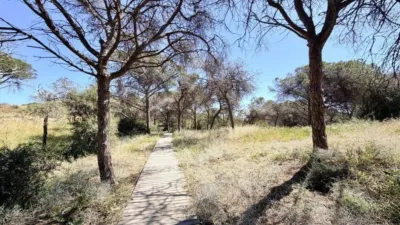 Piso – Guardamar del Segura - Vista 4