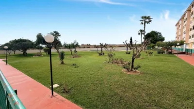 Pis – Torrevieja, Europa - Vista 4