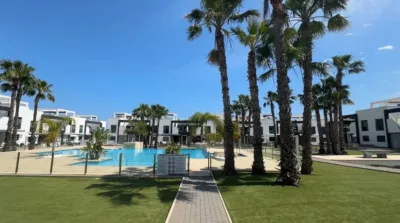 Apartment in La Zenia photo 35