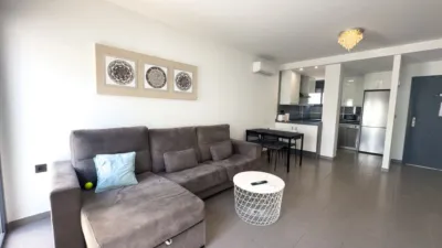 Apartment in La Zenia photo 7