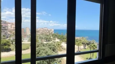 Pis – Torrevieja - Vista 3