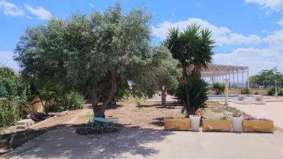 Rustic finca in Pueblo 8 photo 10