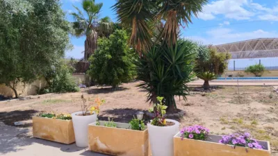 Rustic finca in Pueblo 8 photo 11