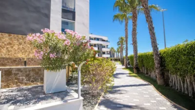 Penthouse in Urbanización Perla del Mar photo 32
