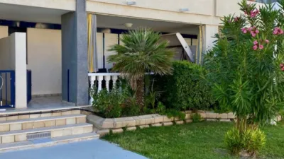 Pis – Torrevieja - Vista 5
