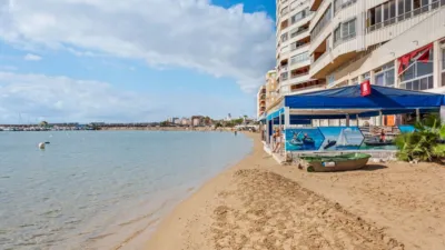 Apartment in Acequion photo 28