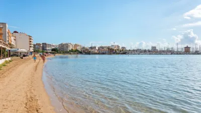 Apartment in Acequion photo 30