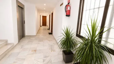 Apartment in the City Centre photo 26