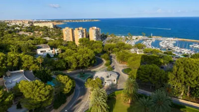 Pis – Orihuela, Mil Palmeras - Vista 2