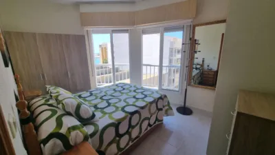 Pis – Torrevieja, San Roque - Vista 5