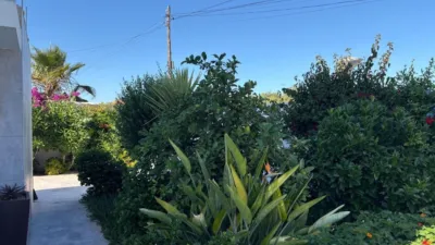 Casa – Torrevieja - Vista 5